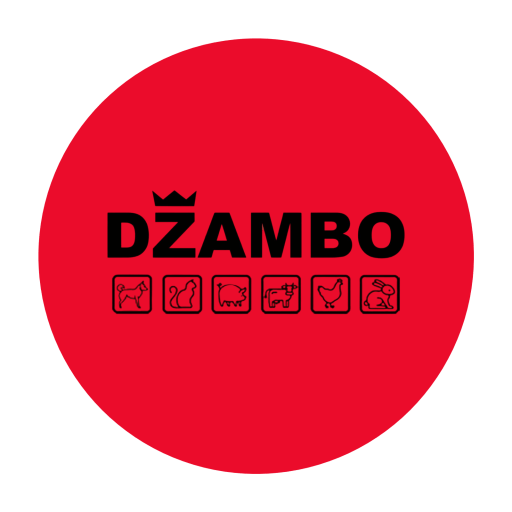 Džambo